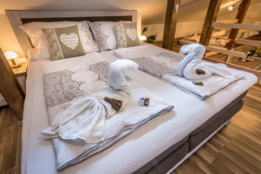 Гостиница Luxusní Apartmán NMNM, Нове Место На Мораве
